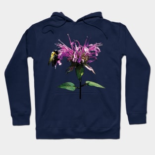 Bee Balm - Bee on Lavender Bee Balm Hoodie